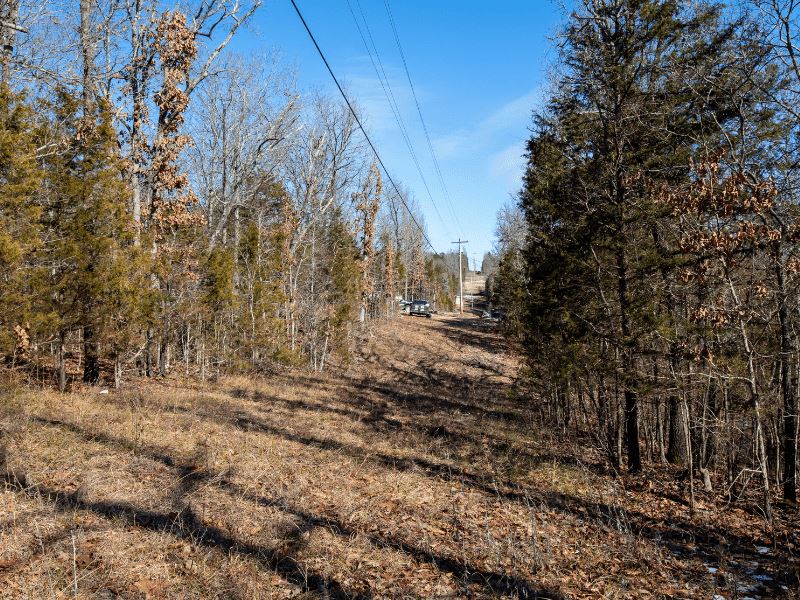 Great Land Beside Bull Shoals Lake : Kissee Mills : Taney County : Missouri