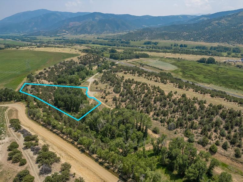 Great Treed Lot to Build On : Salida : Chaffee County : Colorado