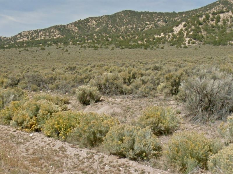 Untamed Beauty, Costilla County, CO : Fort Garland : Costilla County : Colorado