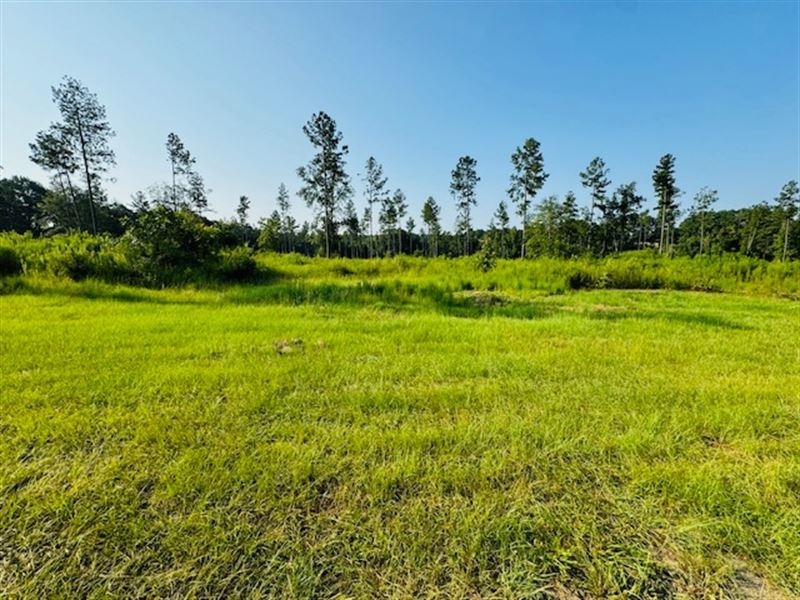 11 Acres Located in Warnerton, LA : Franklinton : Washington Parish : Louisiana