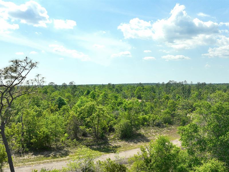 Hook The Perfect Spot, 0.29 Acre : Chipley : Washington County : Florida