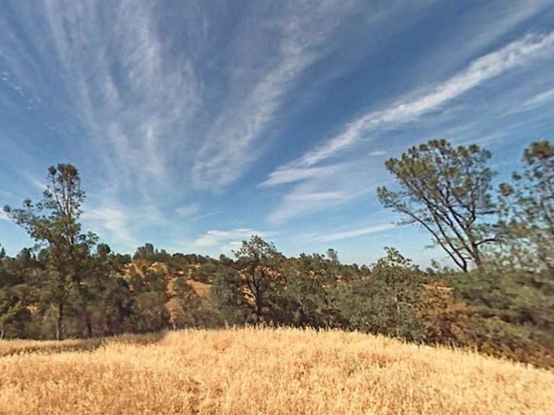 Almost 7 Acres in Rancho Tehama : Corning : Tehama County : California