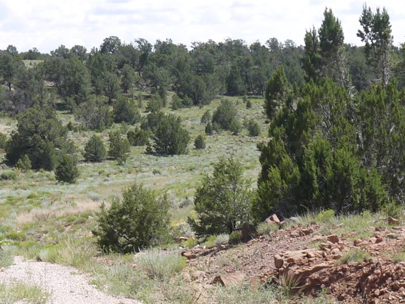 2.50 Acres in Cibola County, NM : Mountain View : Cibola County : New Mexico