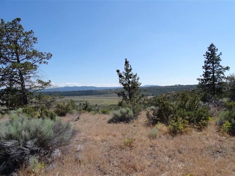 Homesteader's Dream in Chiloquin : Chiloquin : Klamath County : Oregon