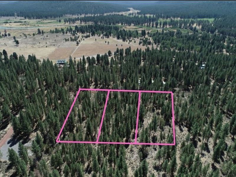 Cash Only Deal for Sale, Three Lot : Chiloquin : Klamath County : Oregon