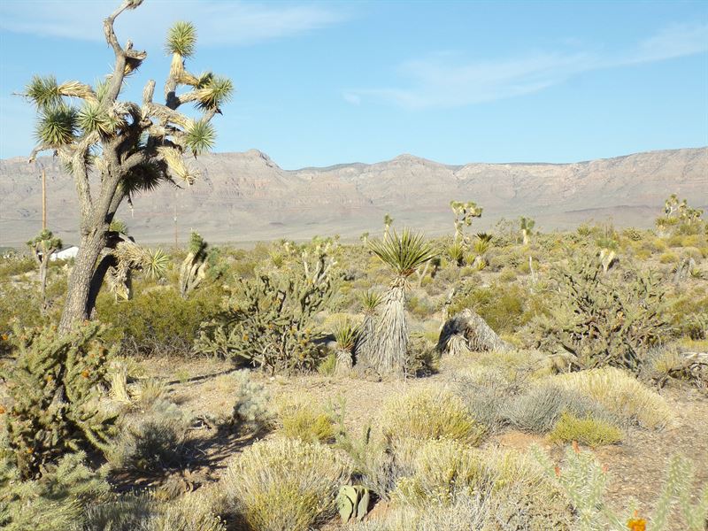 Discover Your Sanctuary : Meadview : Mohave County : Arizona