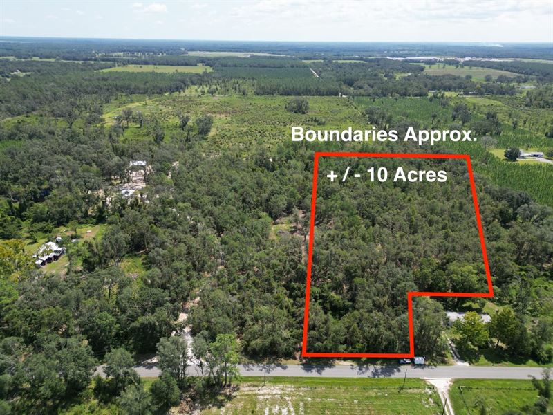 Falmouth 10 Acres : Live Oak : Suwannee County : Florida