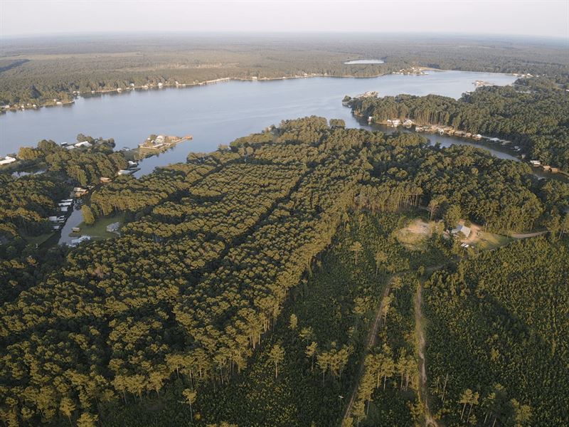 .6 Acre Lot At Lake Eddins in Jaspe : Pachuta : Jasper County : Mississippi