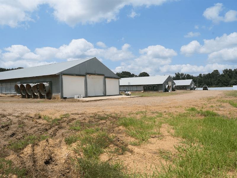 Poultry Turnkey 3 House Breeder Far : Philadelphia : Leake County : Mississippi