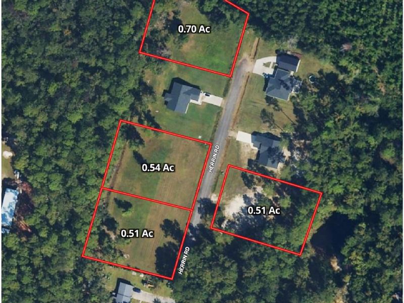 4 Cleared Building Lots in Woodbine : Woodbine : Camden County : Georgia