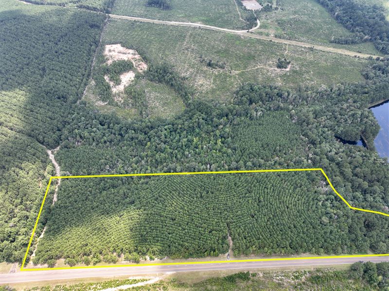 18 Acres, T-6 Rec Road 255 : Browndell : Newton County : Texas