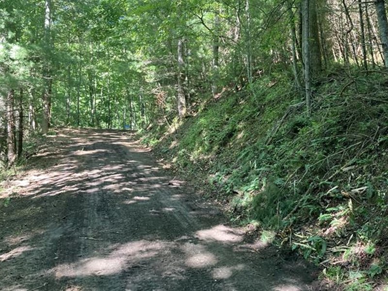 1.35 Ac in Ashe County, $349 Down : Laurel Springs : Ashe County : North Carolina