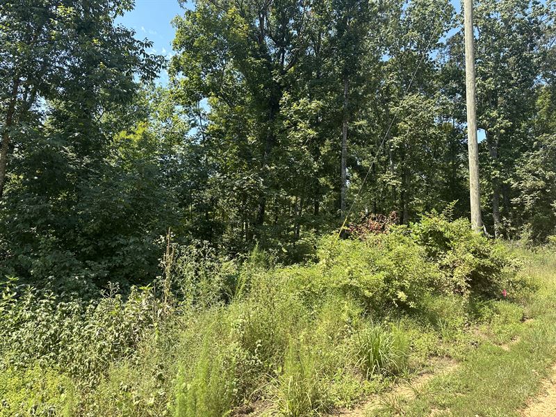 5.99 Ac Wooded Land for Sale : Morris Chapel : Hardin County : Tennessee