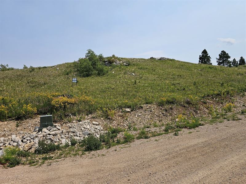 Majestic Heights Road, Lot 11 : Sturgis : Lawrence County : South Dakota