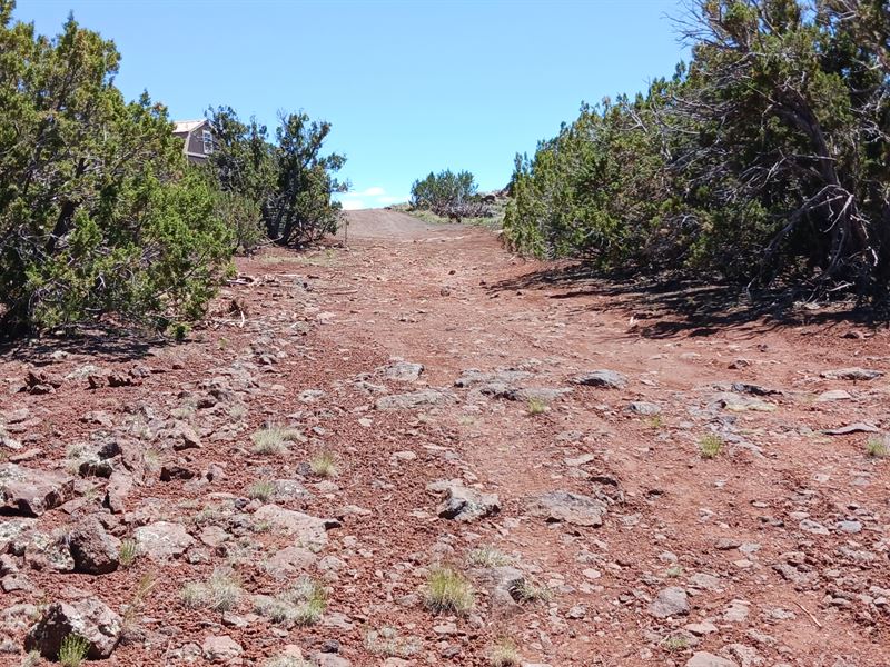 Explore a Stunning Dream Campsite : Concho : Apache County : Arizona