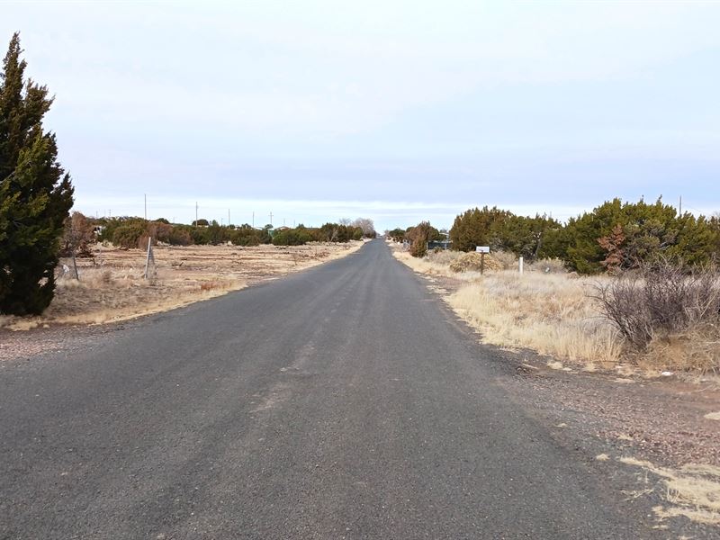 Land with Utilities Close by : Concho : Apache County : Arizona