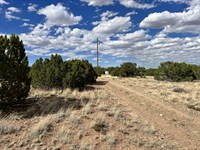 Amazing Land Near Trails : Concho : Apache County : Arizona