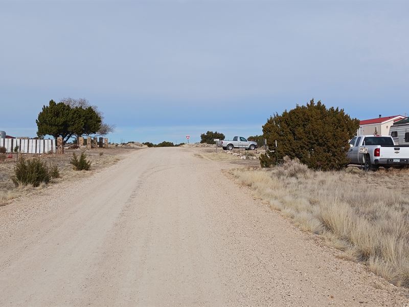 Land Near Outdoor Adventures : Concho : Apache County : Arizona