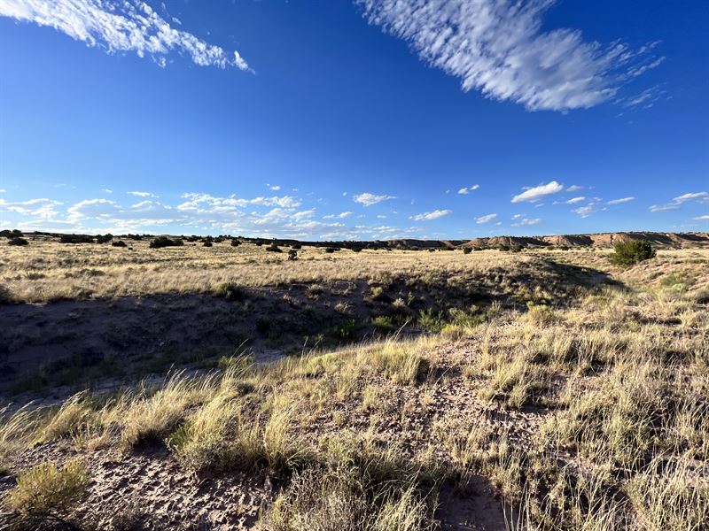 Land for Adventurers : Sanders : Apache County : Arizona