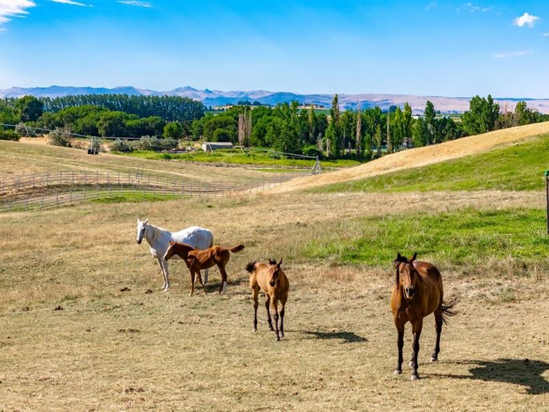 13.35 Acre Equestrian Estate Lot : Caldwell : Canyon County : Idaho