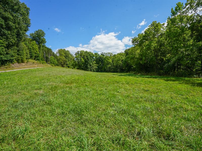 Lot 8 Rider Rd, 5 Acres : Roseville : Muskingum County : Ohio