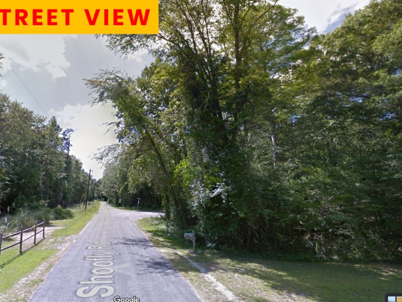 .63 Ac Vacant Lot Near Edisto River : Ridgeville : Dorchester County : South Carolina