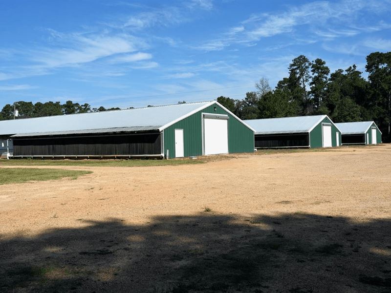 MS Poultry Broiler Farm with House : Summit : Pike County : Mississippi