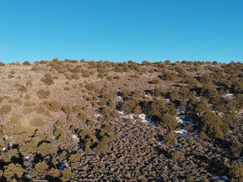Colorado's Best Views, $159 Down : San Pablo : Costilla County : Colorado