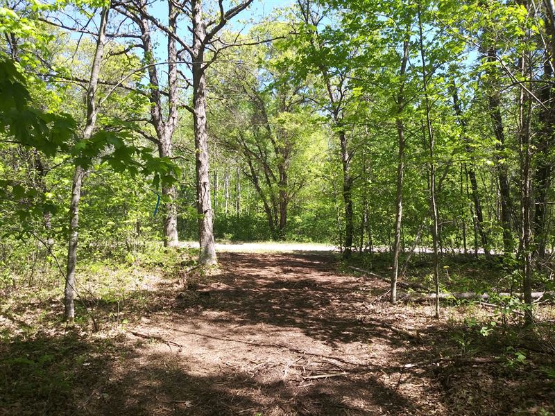 4.5 Acres by Castle Rock Lake : Necedah : Juneau County : Wisconsin