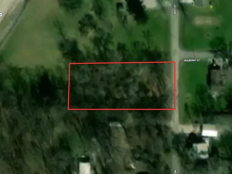 Wooded Building Site for Sale Barth : Hartsville : Bartholomew County : Indiana