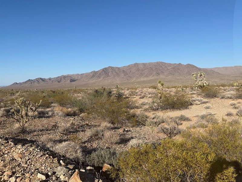 Discover Your 1 Acre Desert Oasis : Meadview : Mohave County : Arizona