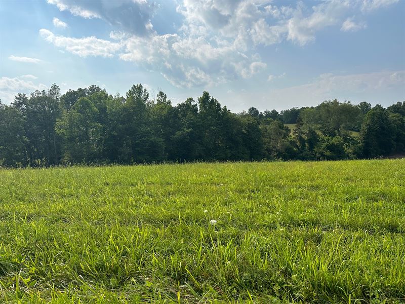 3+/- Unrestricted Acres : Albany : Clinton County : Kentucky