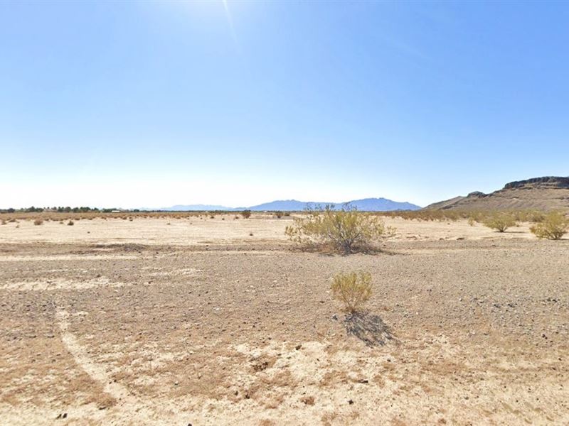 $548.74 Down, Road Front Flat Land : Pahrump : Nye County : Nevada