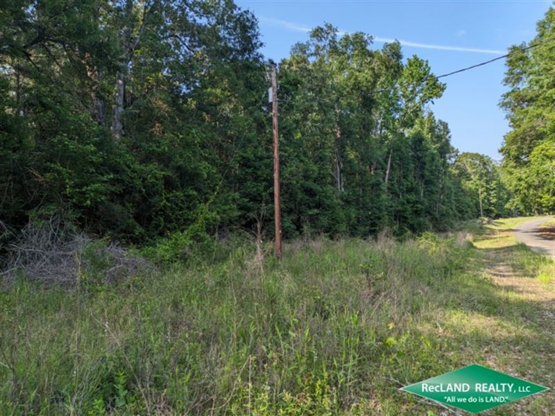 8.75 Ac, Wooded Tract for Homesite : Chatham : Jackson Parish : Louisiana