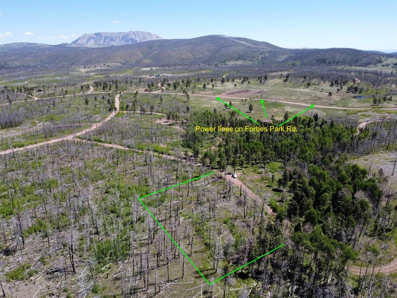 Lots of Potential, Trees, Internet : Fort Garland : Costilla County : Colorado