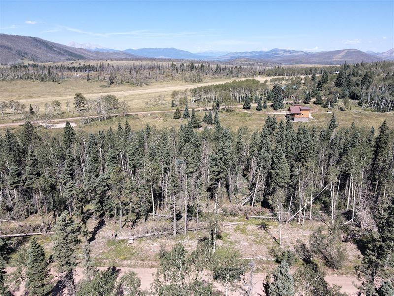 Treed Lot, Aspen & Pine Trees : Fort Garland : Costilla County : Colorado