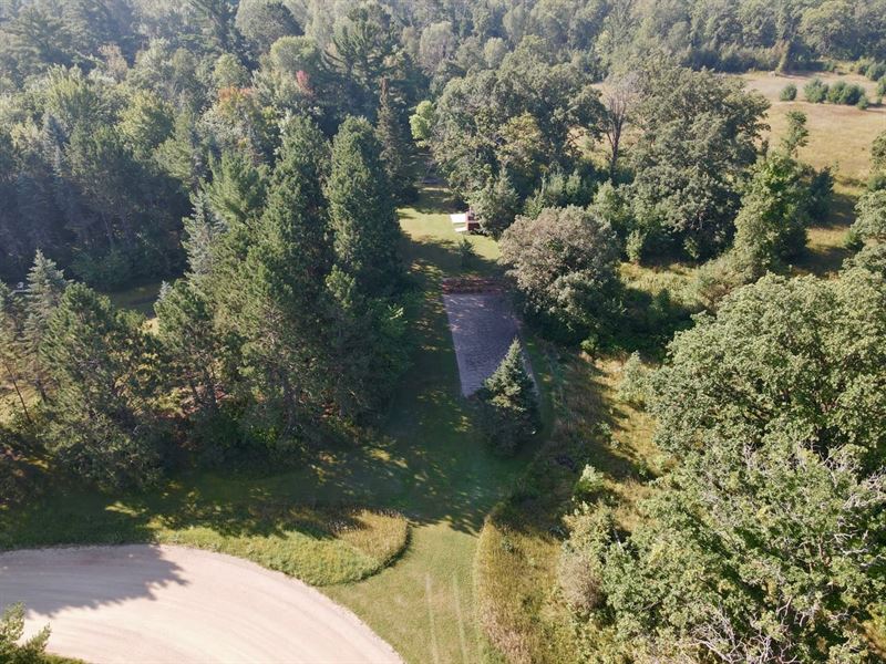 Wooded Acreage, Gods Country : Bemidji : Beltrami County : Minnesota