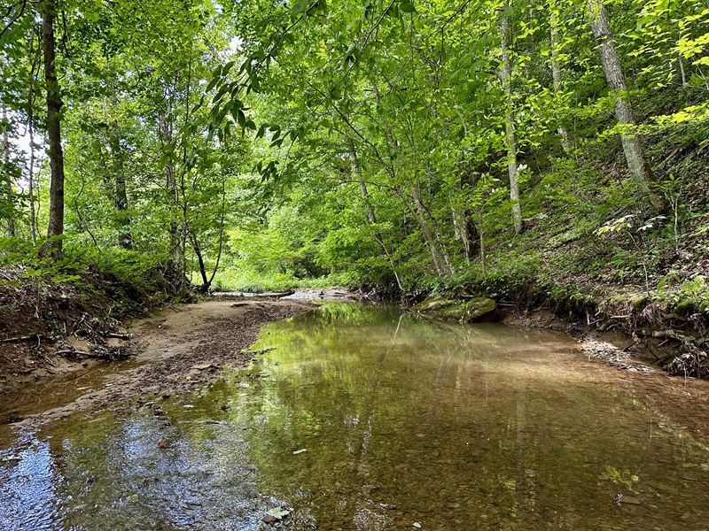 Tract 6, Wayne National Forest : Patriot : Gallia County : Ohio