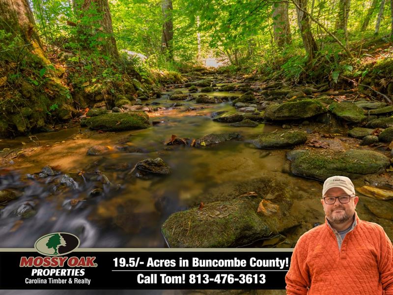 19.5 Acres in Bumcombe County : Barnardsville : Buncombe County : North Carolina