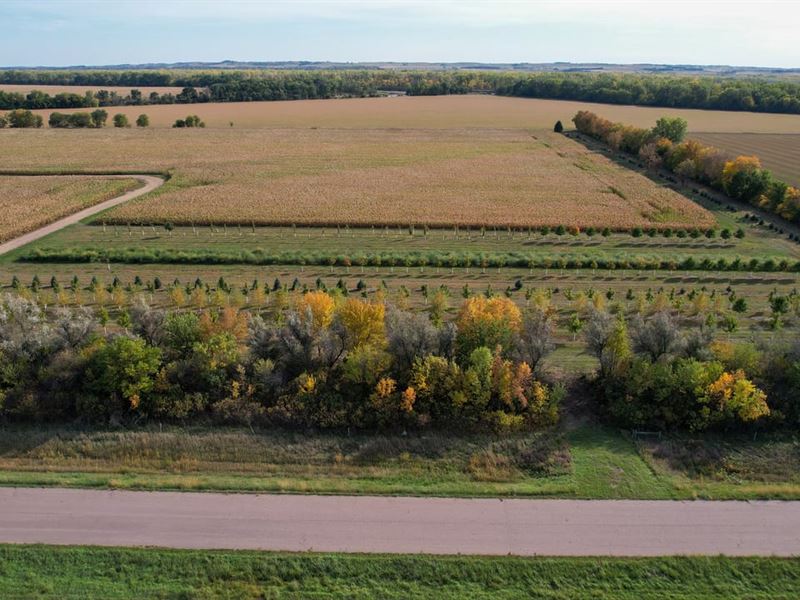 Yankton 18 Acreage : Yankton : Yankton County : South Dakota