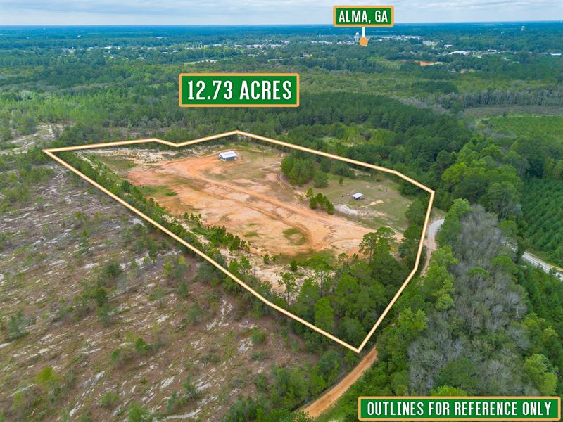 12.73 Acres Starling Rd : Alma : Bacon County : Georgia