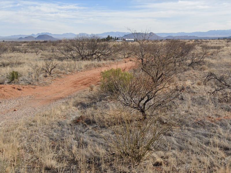 .83 Ac Lot with Development Around : Cochise : Cochise County : Arizona