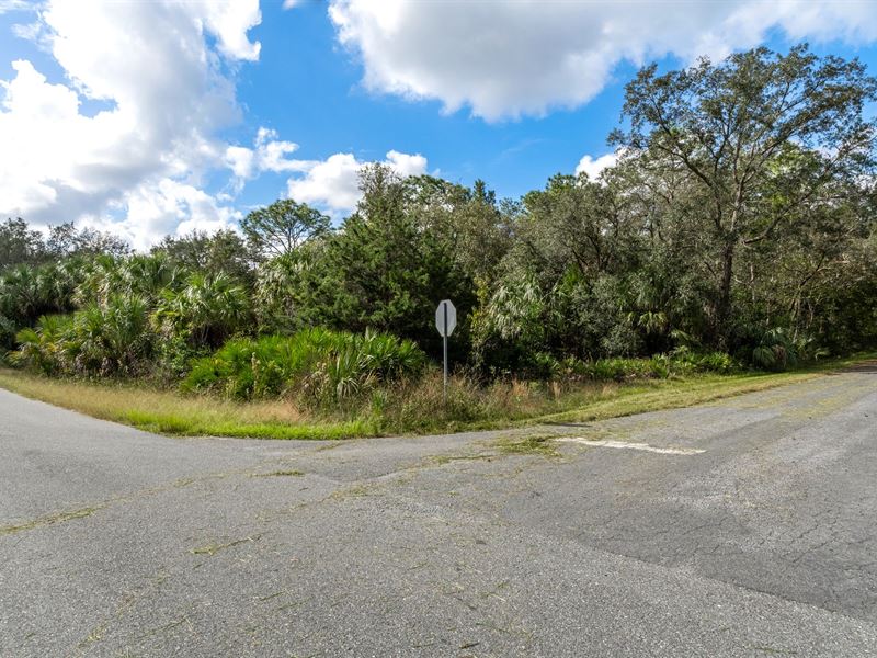 1.03 Acres of Endless Potential : Homosassa : Citrus County : Florida