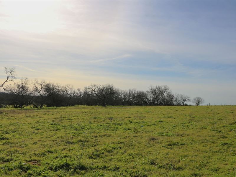 2.11 Acres in Caldwell County : Luling : Caldwell County : Texas