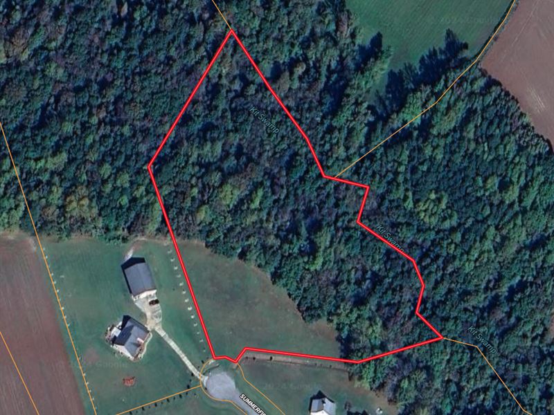 6 Acre Dream Property with Woods : Ernul : Craven County : North Carolina