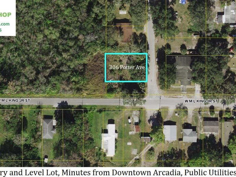 Lovely Lincoln Park Lot : Arcadia : DeSoto County : Florida