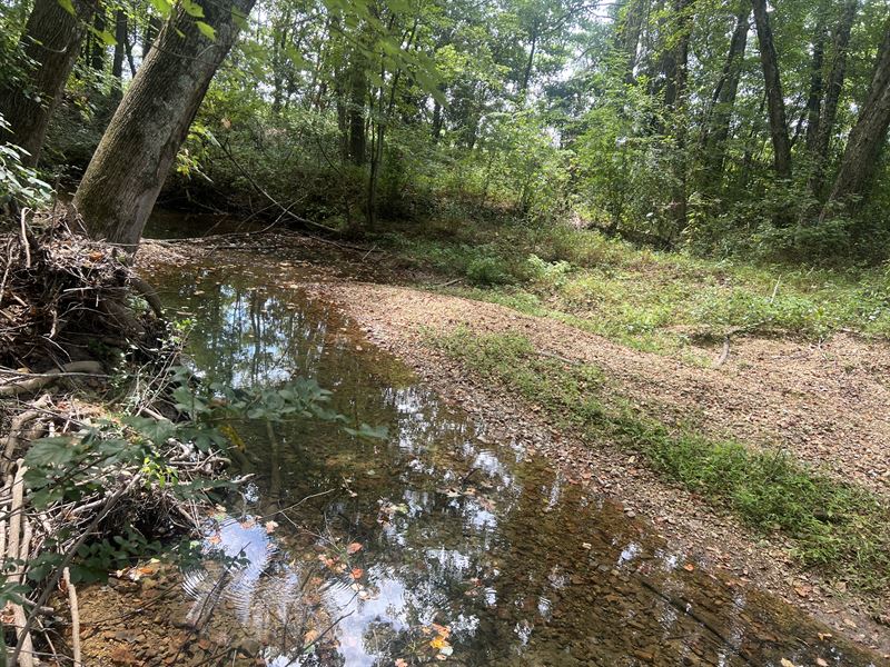 Burcham Creek Mini Farm : Florence : Lauderdale County : Alabama