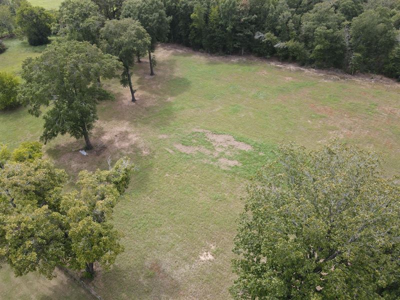 Land for Sale Wicksburg AL 2 ac : Newton : Houston County : Alabama