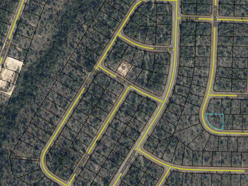 Double Corner Lot for Sale in FL : Chipley : Washington County : Florida