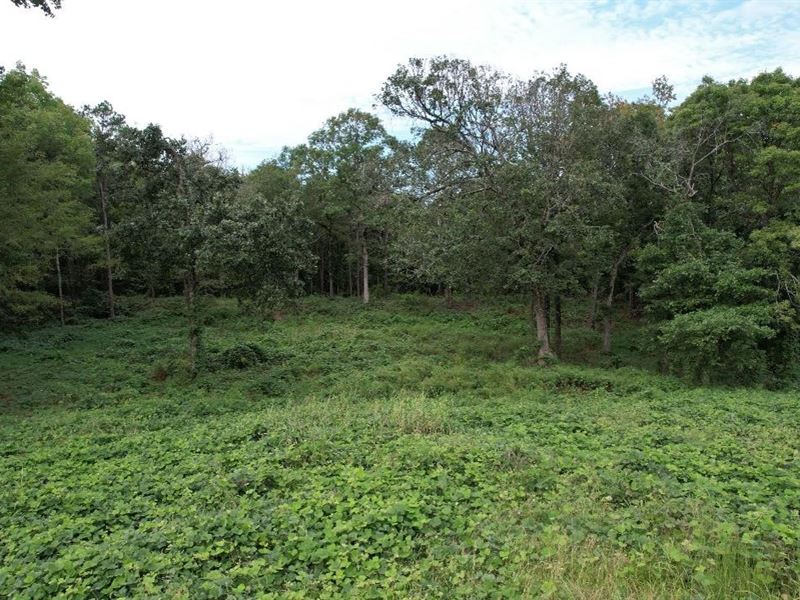 1.5 Acre Homesite in Marsha : Holly Springs : Marshall County : Mississippi